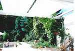 Galerie: Pergola (Kassetten-Pergola) - Beschattung