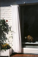 Galerie: Fenster Sonnenschutz: auen